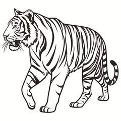 Obraz premium Black and white illustration of a tiger walking with open mouth, big cat