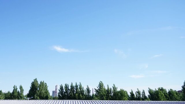 Windy Trees Behind Metal Roof Under Clear Blue Sky