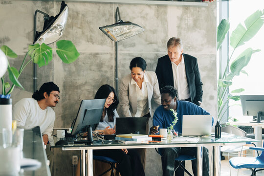 Investors communicating with team of employees working on laptop at office
