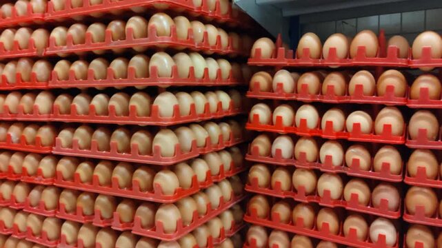 Stakes of fresh chicken eggs in red plastic trays at wholesale market, large group of raw eggs for food industry and retail business, poultry farm production concept.