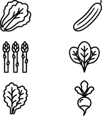 Fototapeta premium Vegetable Line Icon Set with Lettuce Cucumber Asparagus Spinach Cabbage and Radish Minimalist Healthy Food Vector Art