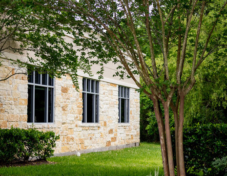 Office building among the trees