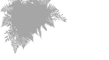 Mixed floral and fern leaves corner shadow overlay effect, isolated on transparent background © MSTSHAMALA
