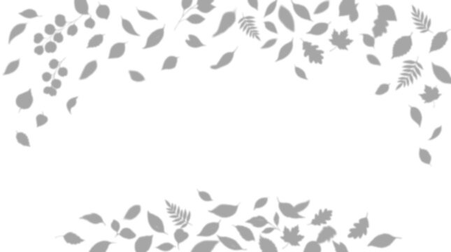 Falling autumn mixed leaves top and bottom border shadow overlay effect, isolated on transparent background