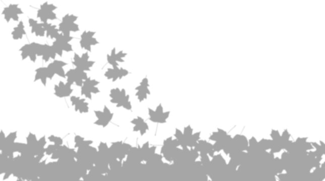Falling maple leaves autumn shadow overlay effect, isolated on transparent background