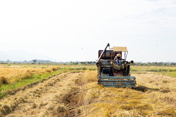 Fototapeta premium Combine harvester harvesting rice field in rural farmland with mountains and copy space