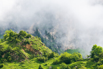 Fototapeta premium Morning fog in the mountains at sunrise. Clouds over the rocks and green trees. Beautiful summer landscape.