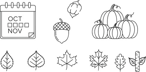 Autumn Harvest Line Art Vector Set Featuring Pumpkins Acorns Fallen Leaves and Calendar Icons for Thanksgiving Graphic Designs © Boloram