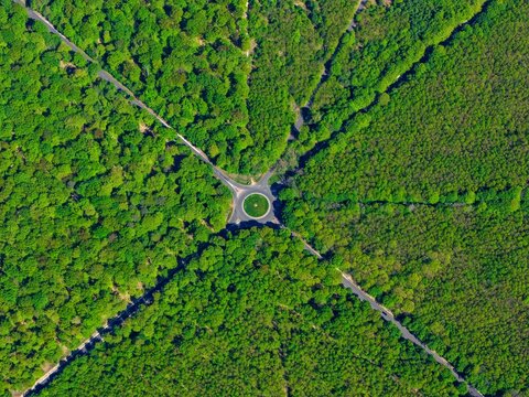 Aerial view of a circular roundabout with roads radiating through the dense green canopy of the Forest of Fontainebleau in Fontainebleau, Ile-de-France, France.