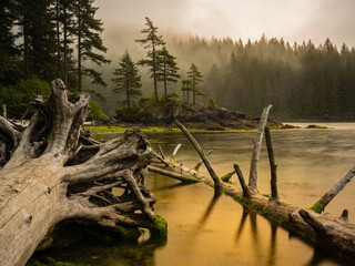 Fototapeta premium Eternal Boreal The Untamed Northern Wilderness