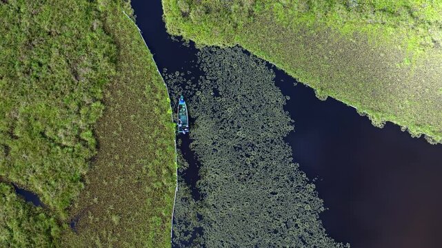oxbow lake in Borneo jungle, Malaysia with water lily