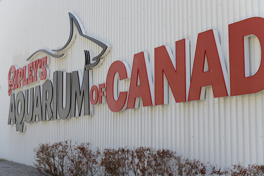 Ripley's Aquarium of Canada located at 288 Bremner Blvd, Toronto