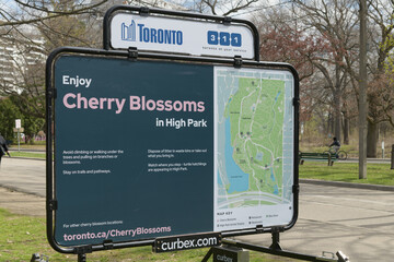 Naklejka premium City of Toronto mobile billboard for Cherry Blossoms in High Park, located at 1873 Bloor St W
