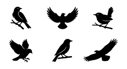 Fototapeta premium Black Bird Silhouettes, Minimalist Avian Icons, Flying and Perched Bird Vector Set