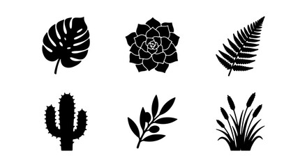 Tropical leaf silhouettes, 6 botanical plant icons, black cactus and fern vectors © RAJA