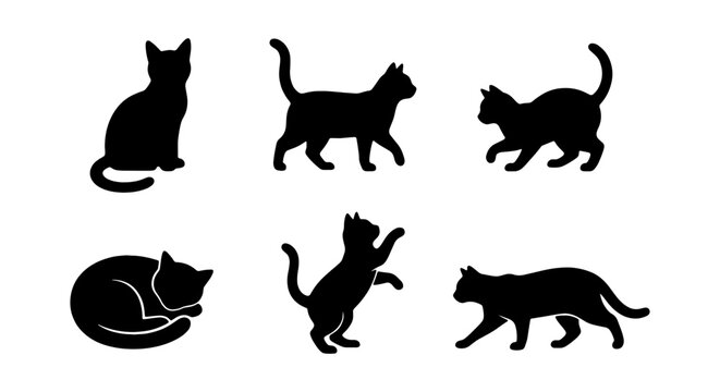 Black cat silhouette set, 6 feline animal icons, walking and sitting pet vector