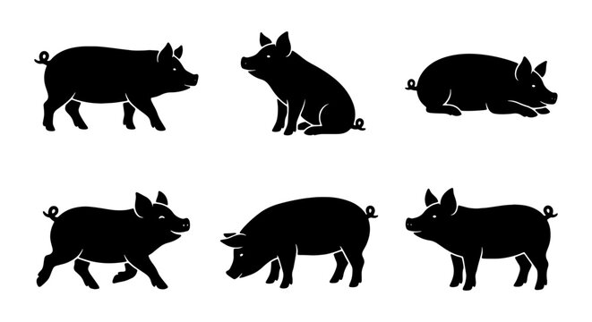 Black pig silhouette set, 6 farm animal icons, livestock vector illustrations for logos