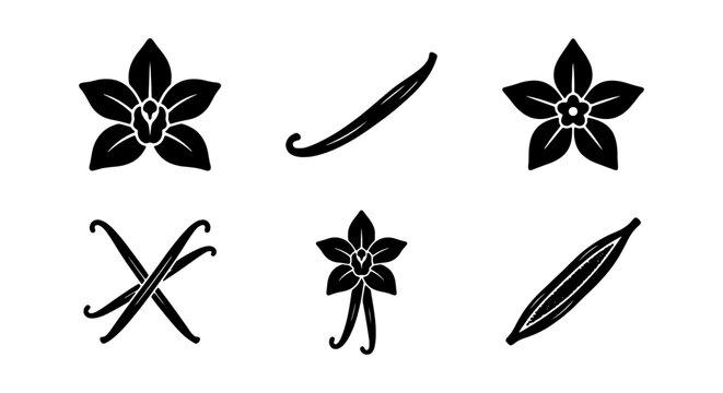 Vanilla Bean Icons, Orchid Flowers, Culinary Ingredients, Botanical Vector Graphics