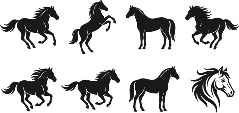 Dynamic Horse Silhouette Collection with Galloping Rearing and Standing Poses plus Detailed Stallion Head for Equestrian Logos Ranch Branding Horse Racing and Wild Mustang Art