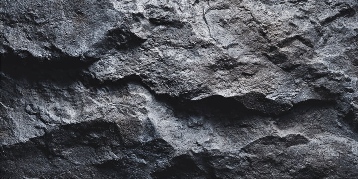 A rough natural texture of brown tree bark displays an abstract pattern of old wood and gray stone-like granite on a weathered surface