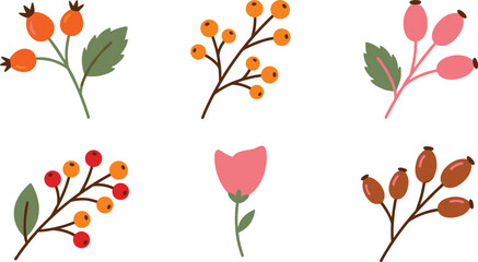 berry and flower branch icons set with colorful designs for websites and apps © Jami