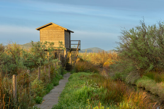 Allcudia, Mallorca, Spanien: Vogelschutzgebiet mit Aussichtsturm s'Albufereta mit - viel gr&uuml;n und Natur. Haus, H&uuml;tte zur Vogelbeobachtung beim Sonnenuntergang am Abend mit sch&ouml;nem Licht.