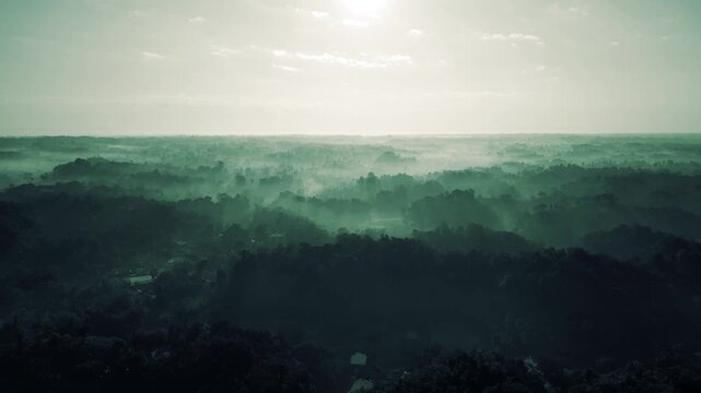 Drone View Of Tea Garden Sreemngal, Sylhet Bangladesh