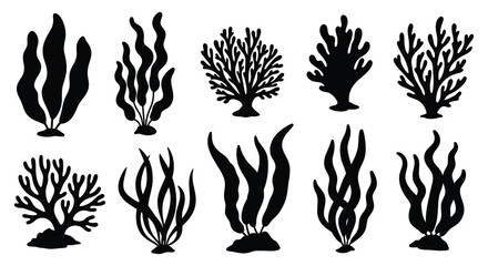 Coral reef plants and seaweed silhouettes high quality © bridal creation