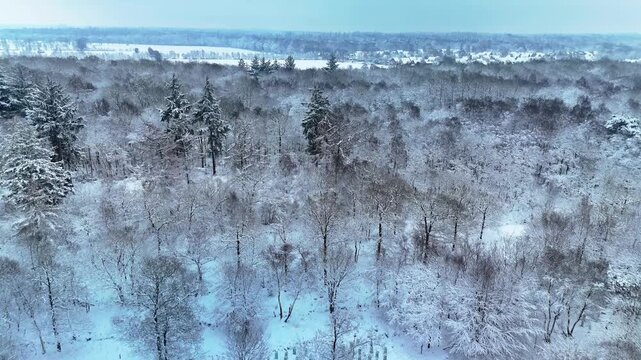 Cinematic 4K 10-bit drone footage flying above a beautiful snow-covered forest in the Netherlands during an early winter morning. Peaceful atmosphere, frosty trees, soft sunrise light, and stunning ae