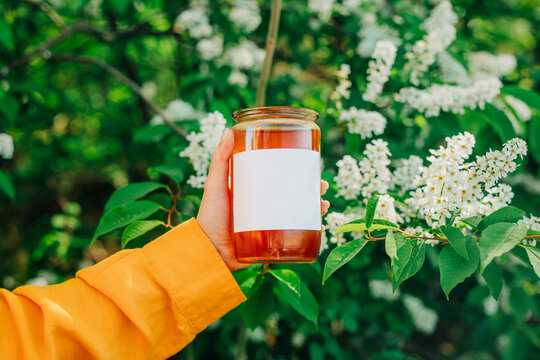 Female hand holding jar of spring multi-flower honey, flowering tree background, sunlight, mockup.