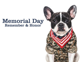 Obraz premium Memorial Day. Cute French Bulldog, American Flag and congratulatory inscription. Closeup, indoors, studio shot. National holiday concept. Congratulations for family, relatives, friends, colleagues