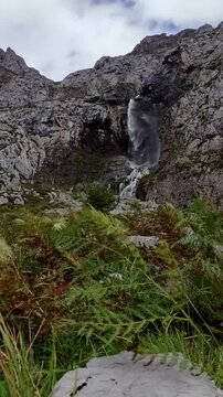 Low angle among ferns at the source of the Deva River in Fuente D&eacute;, on a stormy, windy and dark day.