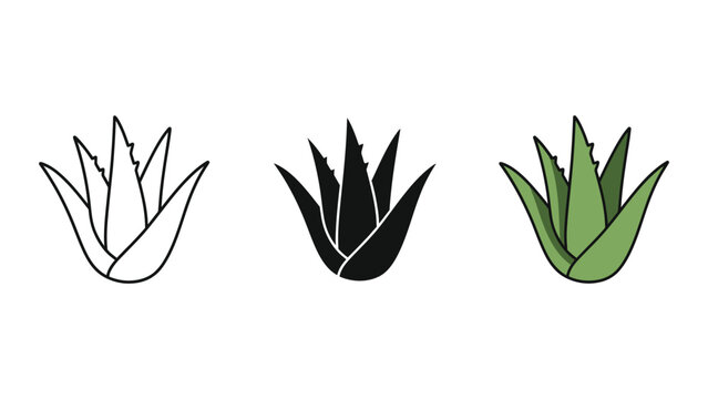 three agave leaves flat design vector illustration set