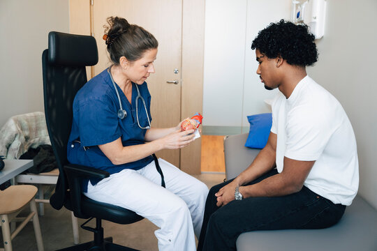 Female medical expert explaining heart condition to male patient through anatomical model in hospital room