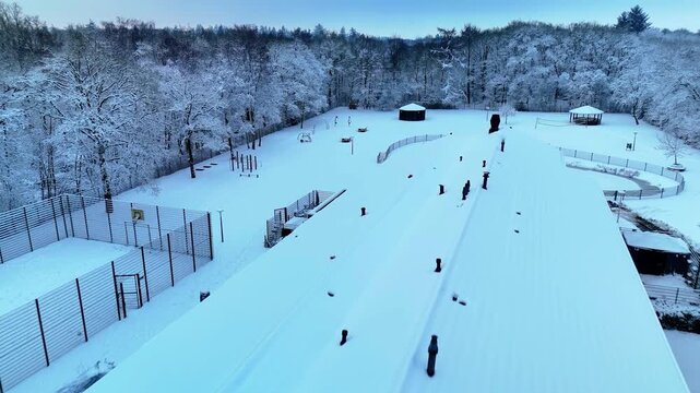 High-quality 4K 10-bit cinematic drone footage of a snowy forest in the Netherlands filmed during an early winter morning. Smooth aerial movement above snow-covered trees with peaceful atmosphere and 