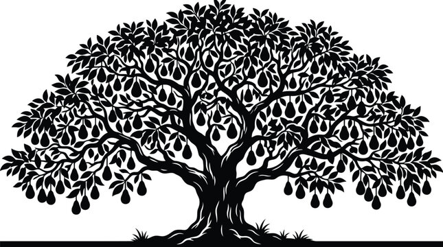 Large pear tree filled with ripe fruit in orchard black and white vector illustration
