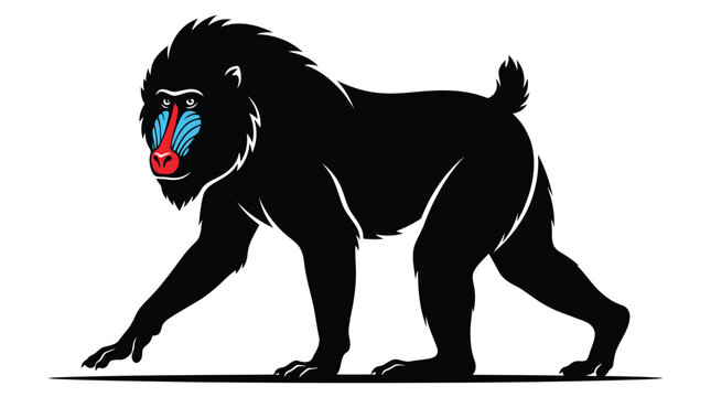 Stylized black and white mandrill illustration isolated on white background for wildlife design