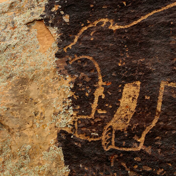 Ancient bear petroglyph panel on rock in Galisteo Basin