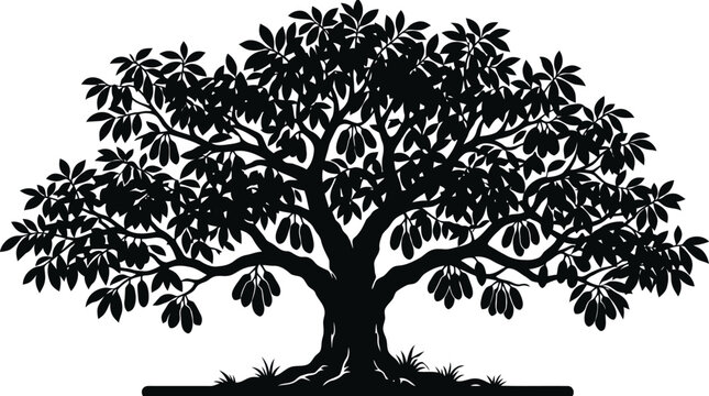 Fig tree laden with fruit silhouette illustration