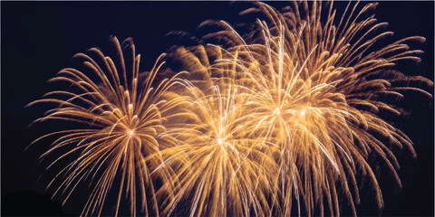 Fototapeta premium Golden fireworks explode in the night sky with fireworks show light effects explosion celebration display pyrotechnics