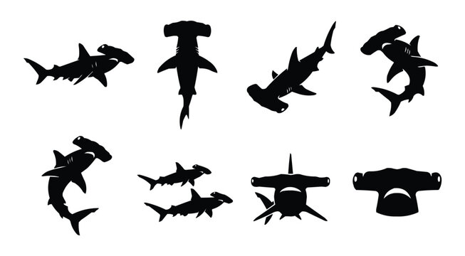Set of Eight Black Hammerhead Shark Silhouettes in Various Poses Isolated on White Background