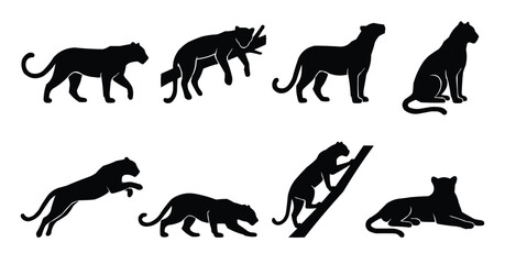 Fototapeta premium Set of Eight Black Panther Silhouettes in Various Poses Isolated on White Background 