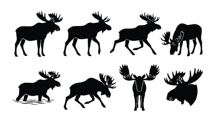 Obraz premium Set of Eight Black Moose Silhouettes in Various Poses Isolated on White Background