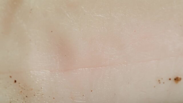 Salted lard bacon pork meat slicing in restaurant on kitchen, salo macro pork fat, black bread sandwich decorated with dill on white background close-up. Healthy fats. Healthy food. Vitamins
