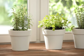 Fototapeta premium Different aromatic herbs in pots on wooden table near window indoors