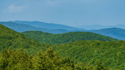 Fototapeta premium Lush green forested hills under a blue sky