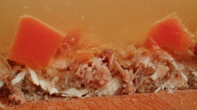 Meat aspic, slavic food, Traditional Russian pork meat aspic Kholodets with horseradish, mustard, jellied jelly beef, eating in restaurant chicken tasty dish. Close up on kitchen. 