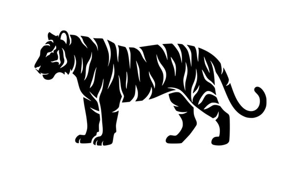 Powerful tiger silhouette vector icon with strong animal pose in black and white isolated on white background