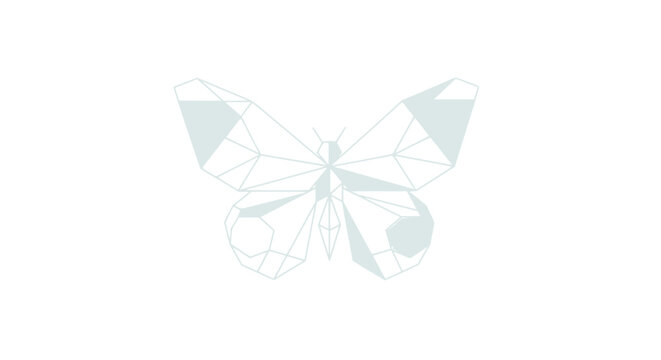 Butterfly Insect Wing Animal Nature.