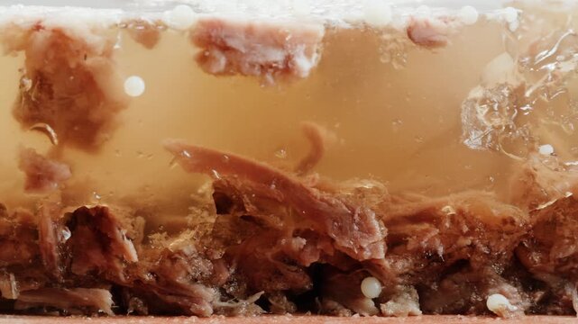 Meat aspic, slavic food, Traditional Russian pork meat aspic Kholodets with horseradish, mustard, jellied jelly beef, eating in restaurant chicken tasty dish. Close up on kitchen. 